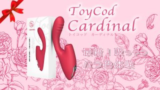 ToyCod Cardinalのアイキャッチ画像